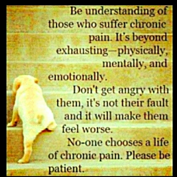 Complete Weight Watchers in Black Binder Retired - Picture 13 of 16